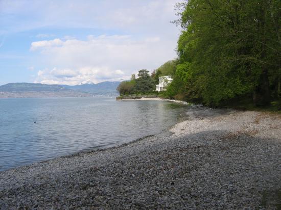 Bord du lac Léman