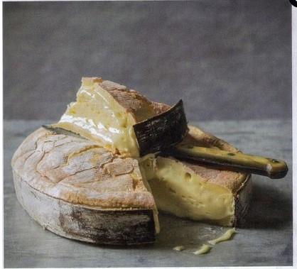 Vacherin photo